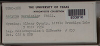 Image Associated With the Occurence